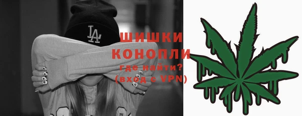 крисы Горно-Алтайск