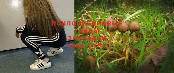 кокаин премиум Горнозаводск