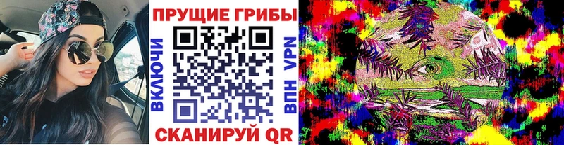 как найти закладки hydra зеркало Галлюциногенные грибы мицелий Игра